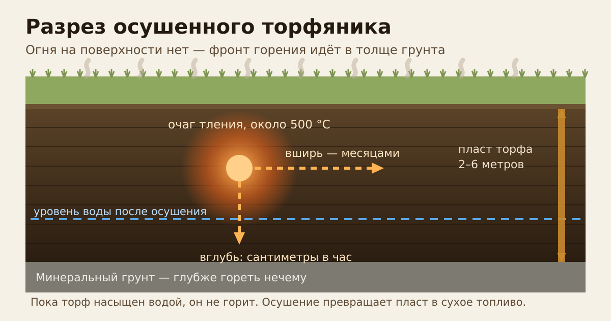 Разрез осушенного торфяника: очаг тления идёт в толще грунта, огня на поверхности нет