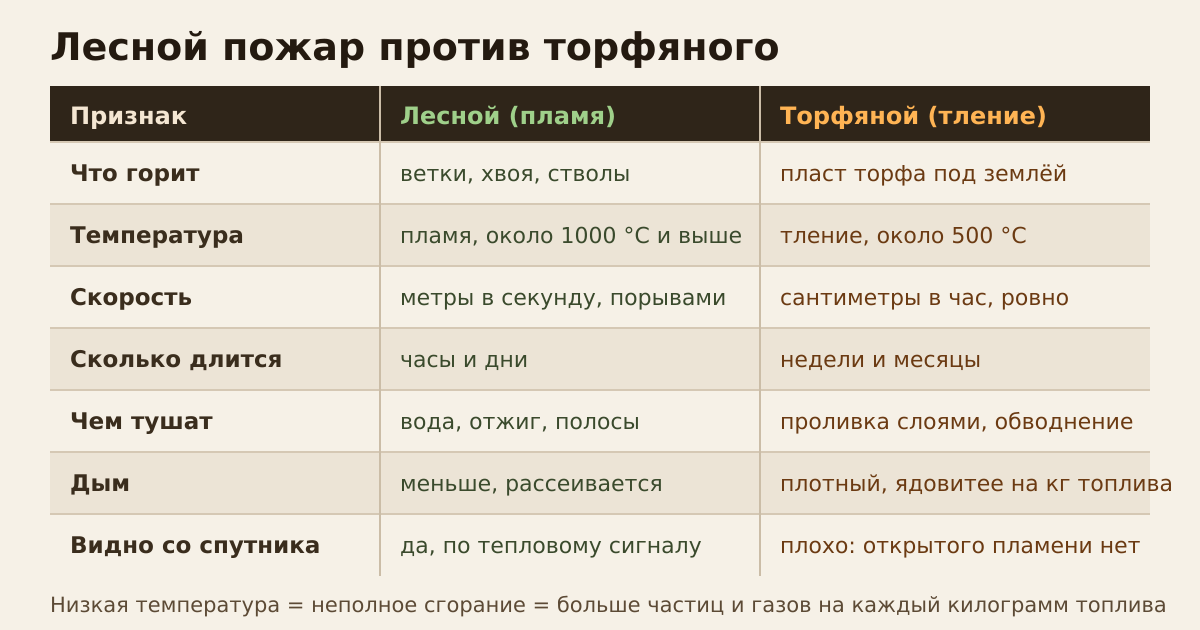 Сравнение лесного и торфяного пожара: температура, скорость, тушение, дым, видимость со спутника