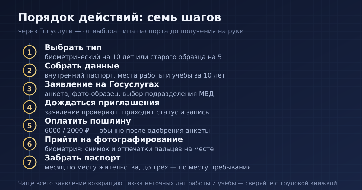 Инфографика: порядок оформления загранпаспорта по шагам — от выбора типа до получения на руки