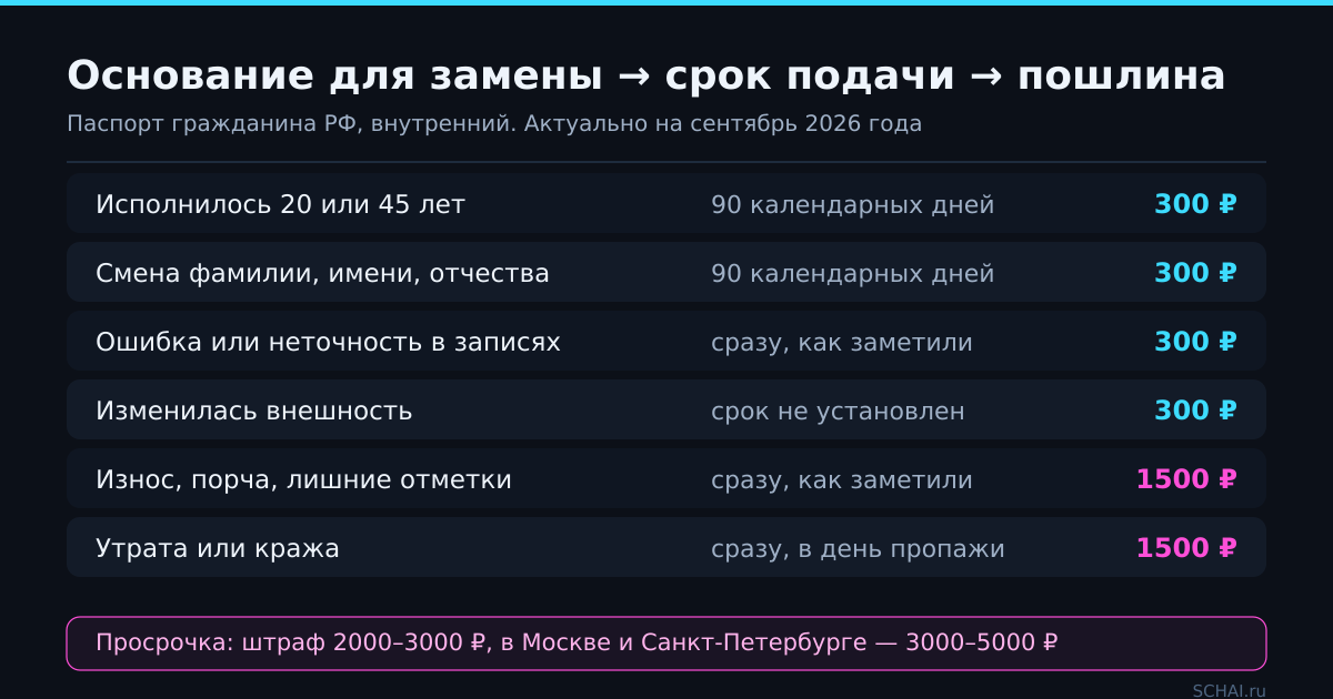 Основание для замены паспорта, срок подачи заявления и размер госпошлины