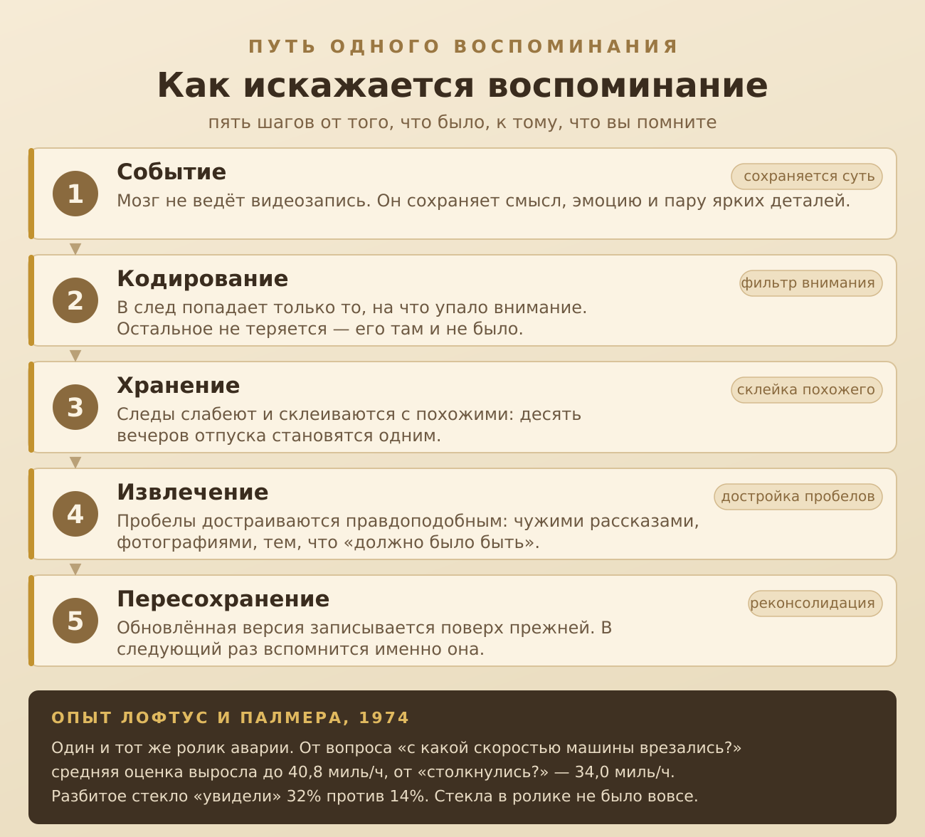 Путь одного воспоминания: пять шагов от того, что было, к тому, что вы помните