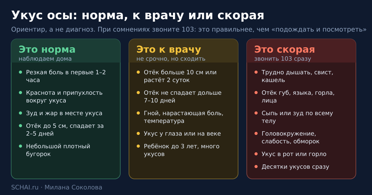 Таблица: что считать нормой, с чем идти к врачу и когда вызывать скорую