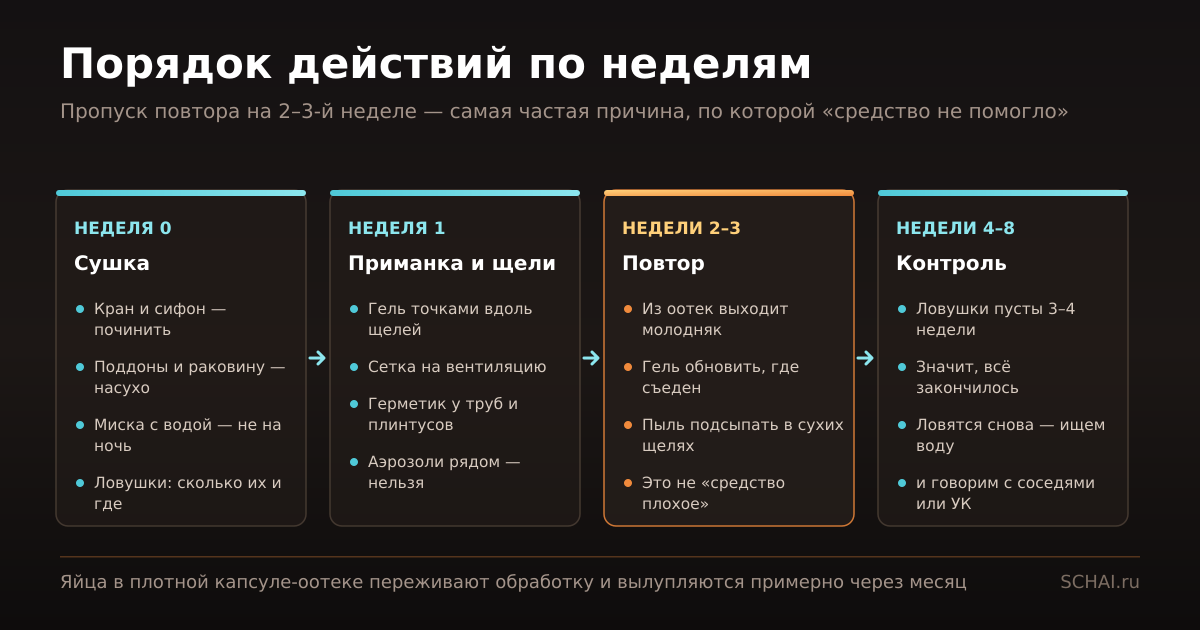 Порядок действий по неделям: сушка, приманка, повтор, контроль