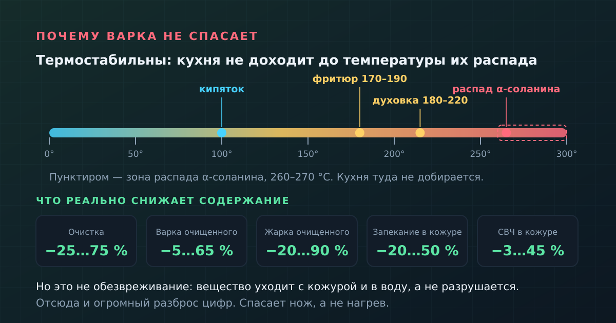 Термостабильность: где ломаются гликоалкалоиды и куда дотягивается кухня