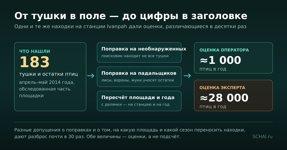 Путь от находок на площадке к числу в заголовке: каждая поправка добавляет свою неопределённость