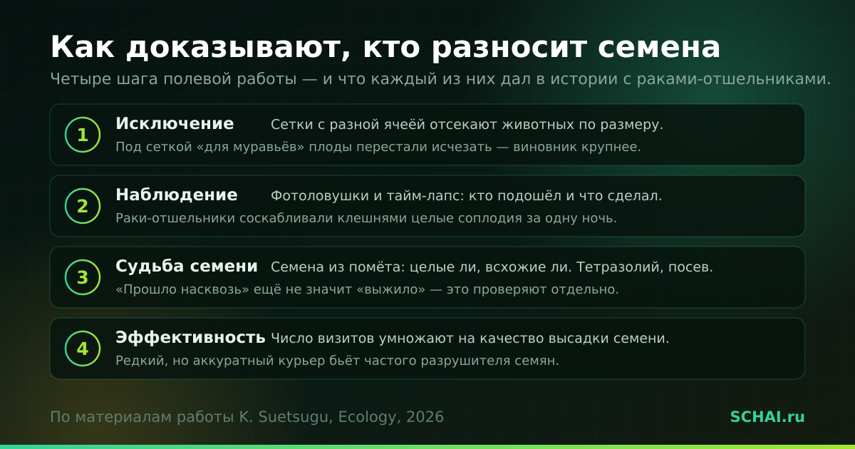 Четыре шага, из которых складывается доказательство: кто на самом деле разносит семена