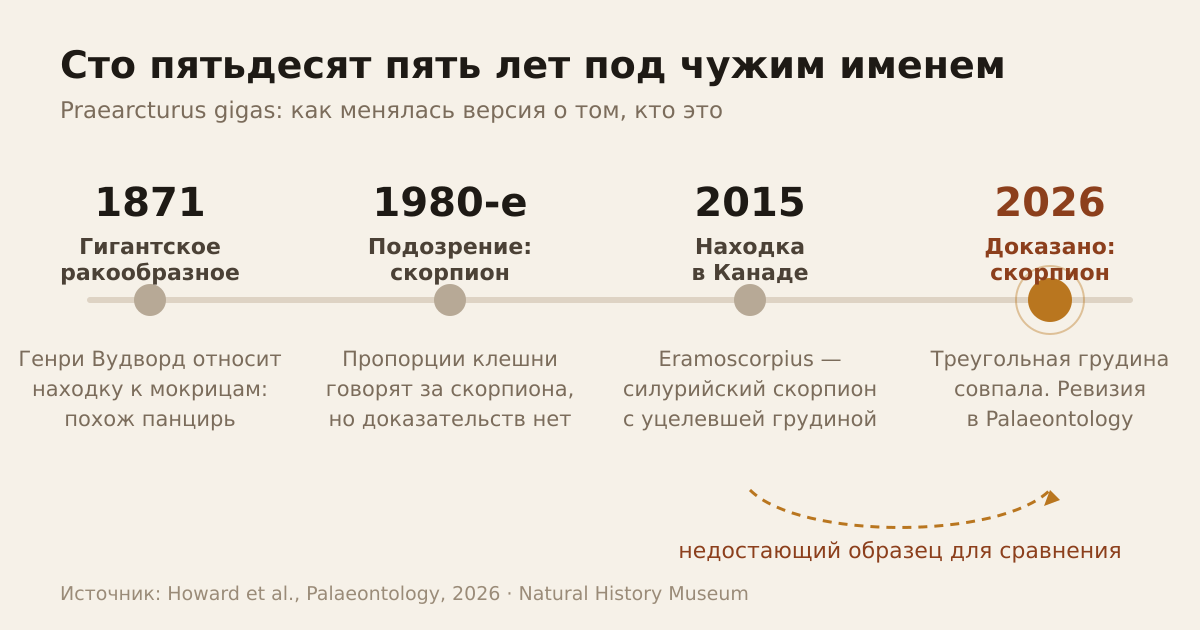 Как менялась версия о том, кем был Praearcturus gigas: от гигантской мокрицы в 1871 году до доказанного скорпиона в 2026-м