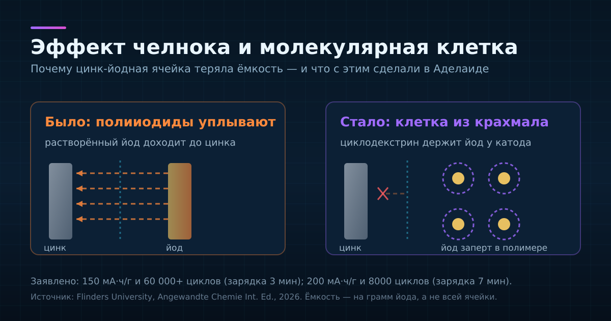 Эффект челнока: полииодиды уходят к цинку — и молекулярная клетка из циклодекстрина, которая их удерживает