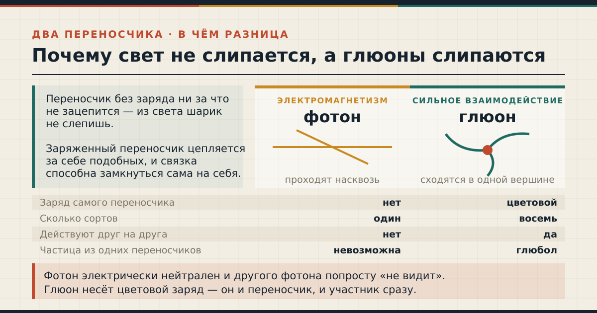 Главное отличие: фотон нейтрален и другого фотона «не видит», а глюон несёт цветовой заряд и цепляется за себе подобных
