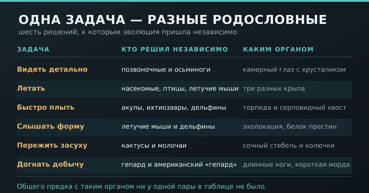 Таблица: одна задача — разные родословные