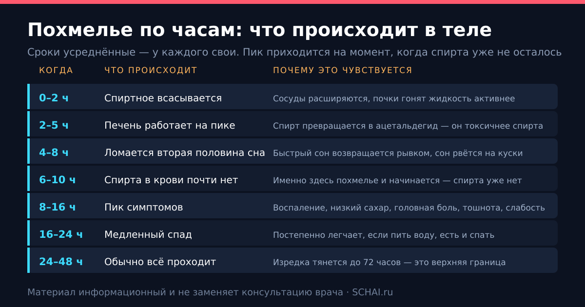 Похмелье по часам: что происходит в организме
