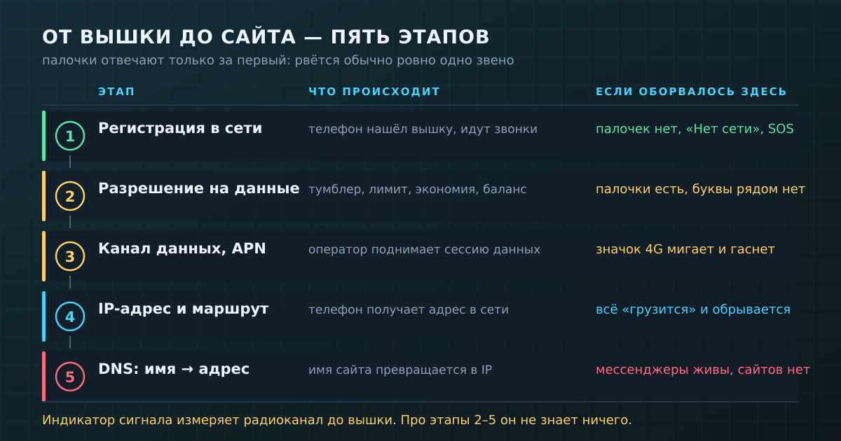 Пять этапов от вышки до сайта: палочки отвечают только за первый