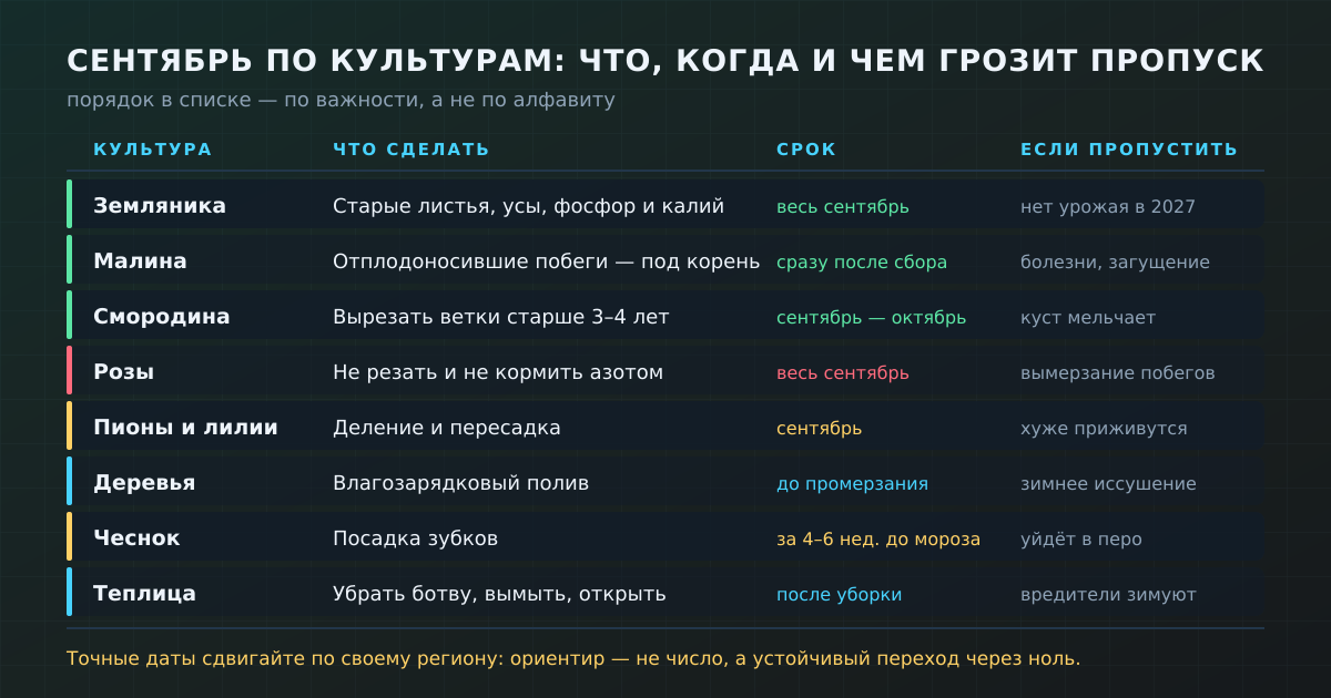 Сентябрь по культурам: что сделать, в какой срок и чем грозит пропуск