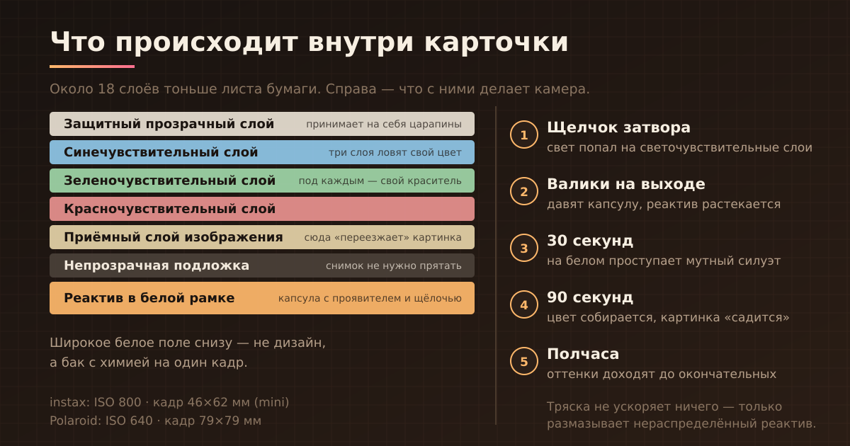 Устройство моментального кадра и что с ним происходит после щелчка затвора
