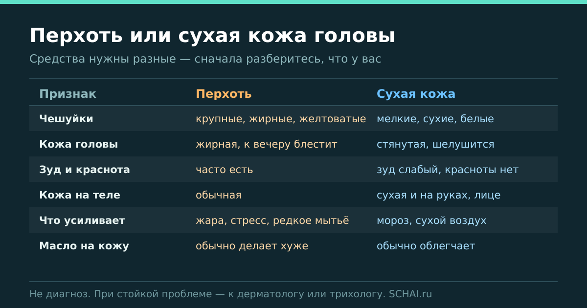Перхоть или сухая кожа головы: чем они отличаются