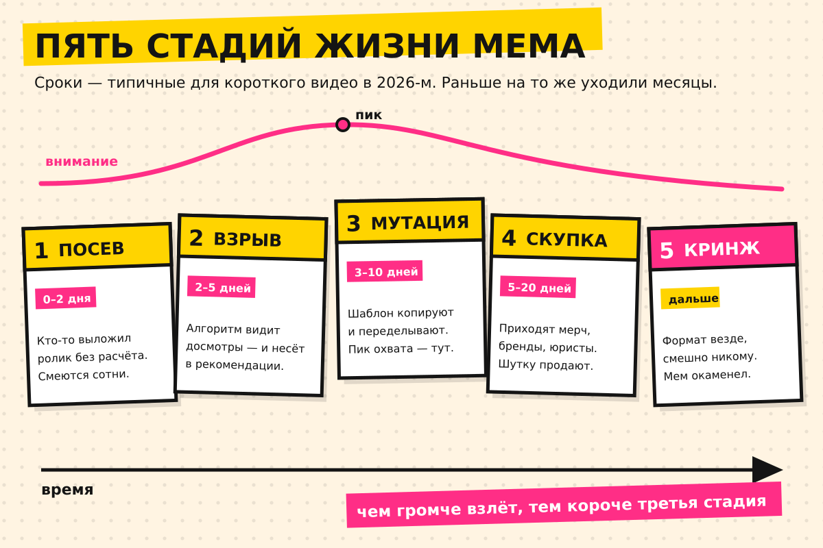 Типичный жизненный цикл шутки в эпоху коротких видео: пик приходится на третью стадию, дальше — только вниз