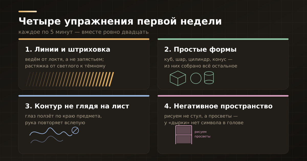 Четыре базовых упражнения первой недели: линии и штриховка, простые формы, слепой контур и негативное пространство