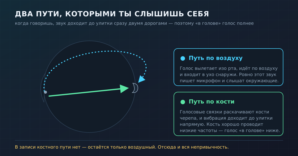 Два пути звука: по воздуху тебя слышат все, по кости — только ты сам. В записи остаётся лишь воздушный путь.