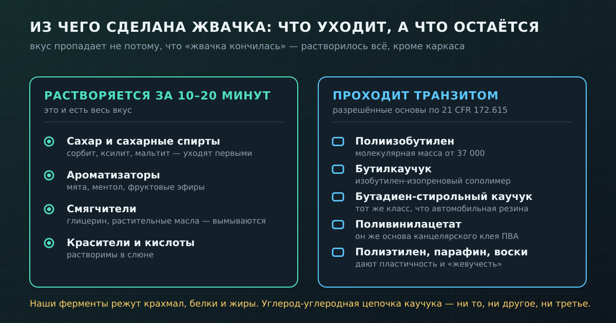 Подсластители, ароматизаторы и смягчители растворяются в слюне за 10–20 минут. Дальше остаётся только полимерный каркас — он и проходит транзитом
