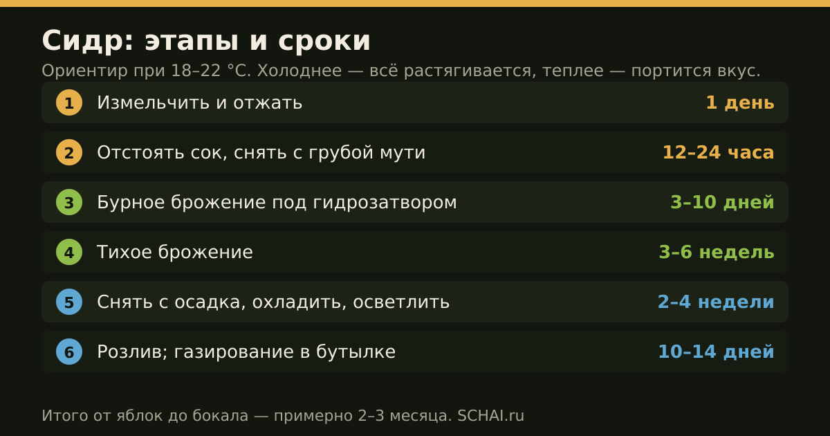 От яблок до готового сидра — примерно два-три месяца