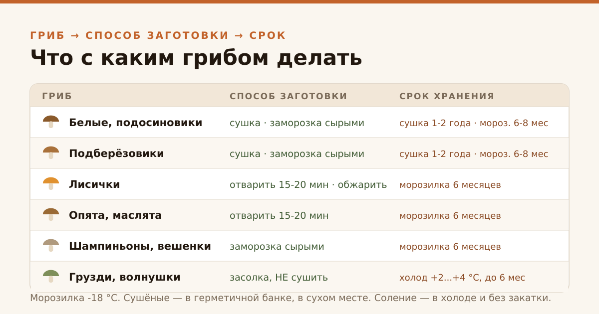 Таблица: какой гриб каким способом заготавливать и сколько он потом хранится