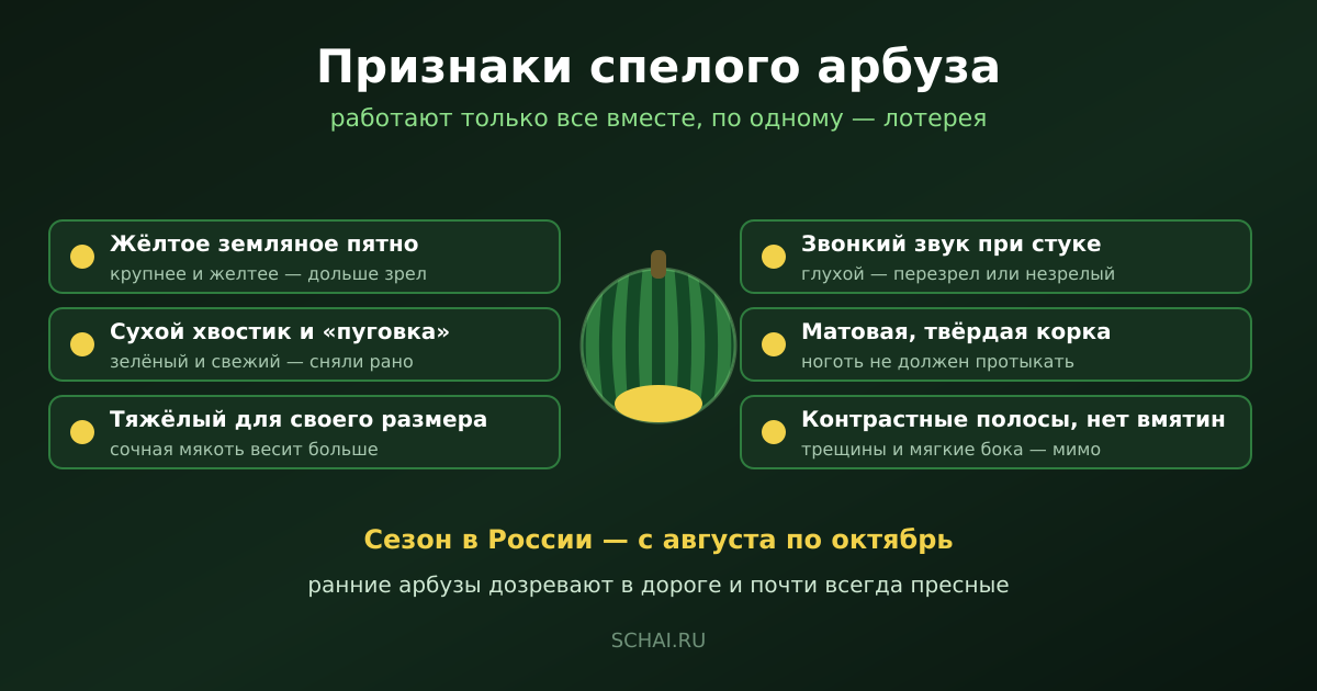 Признаки спелого арбуза: работают только в комплекте, поодиночке каждый — лотерея