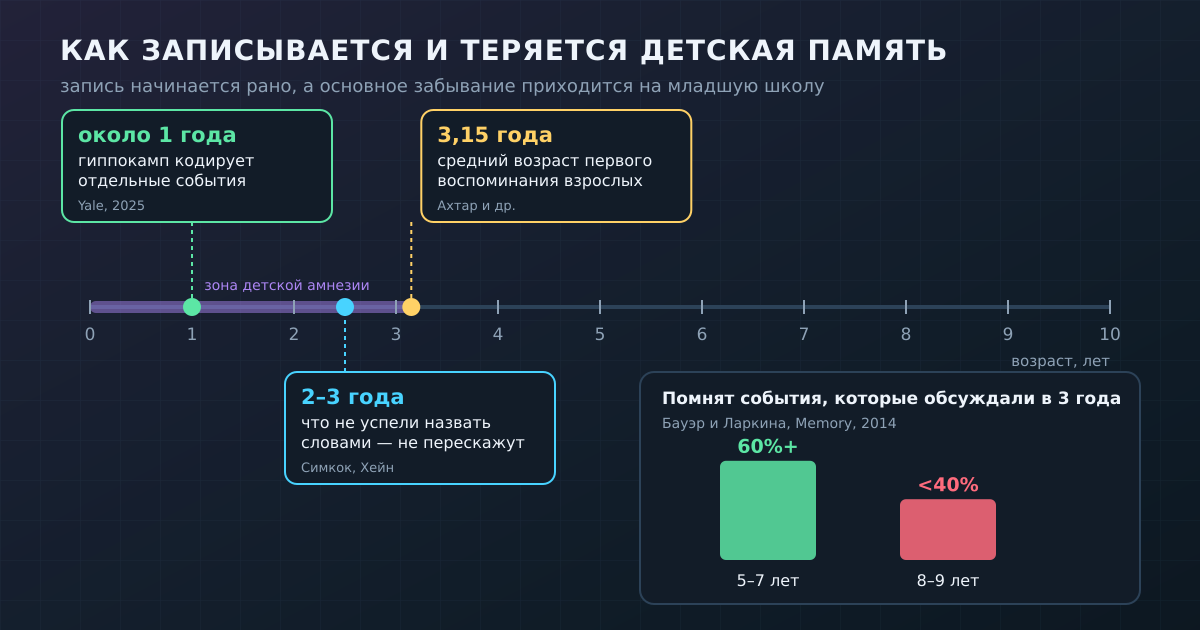 Как растёт и стирается детская память: запись событий начинается около года, а массовое забывание приходится на младшую школу