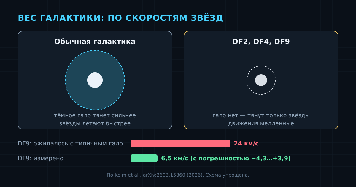 Как масса видна по скоростям звёзд: у DF9 измерено около 6,5 км/с, при типичном тёмном гало ожидалось около 24 км/с