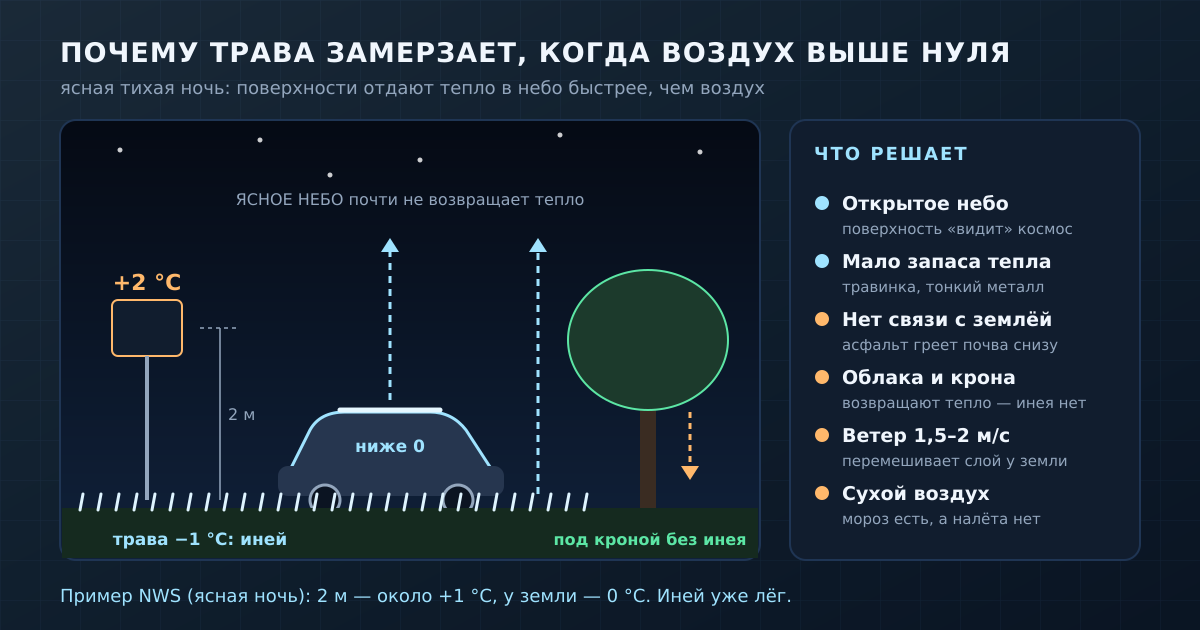 Ясной ночью трава и крыша машины отдают тепло в небо и остывают ниже воздуха на высоте метеостанции. Облака и крона дерева возвращают часть тепла обратно