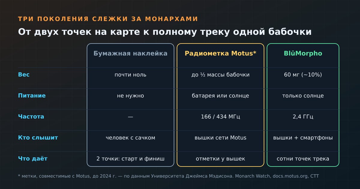 Три поколения слежки за монархами: бумажная наклейка, радиометка старой сети и солнечный маячок BlūMorpho