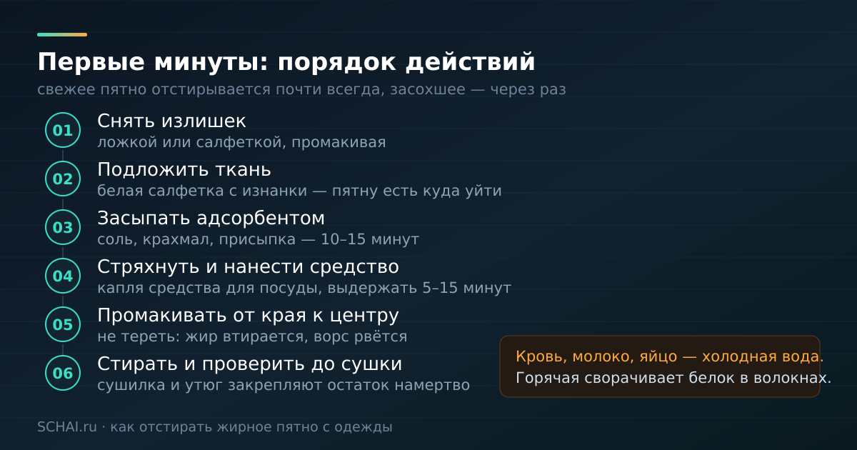 Первые минуты: порядок действий с жирным пятном — от снятия излишка до проверки перед сушкой