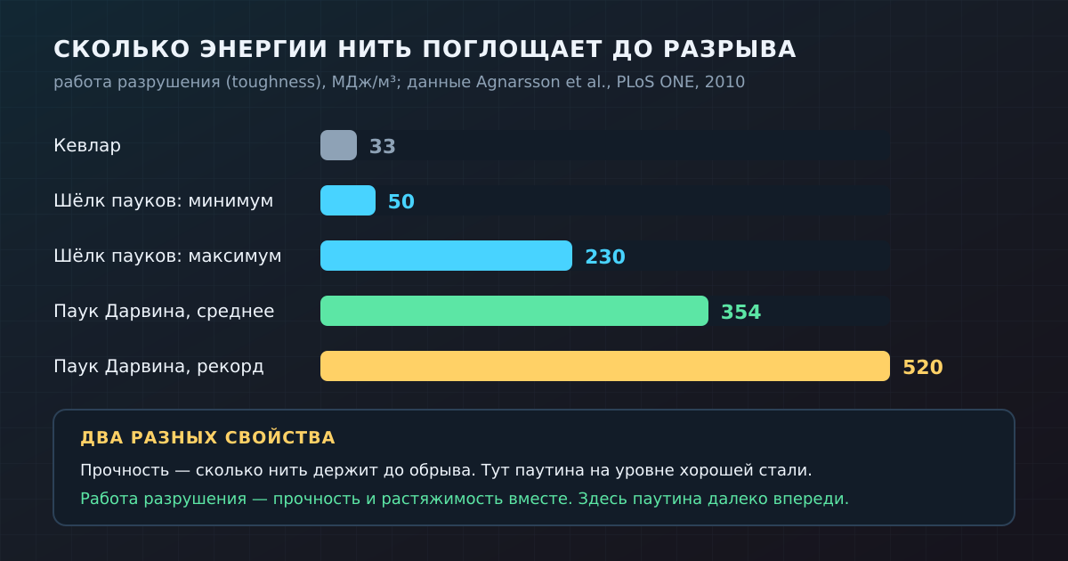 Работа разрушения: сколько энергии поглощает волокно до разрыва. Обычный паучий шёлк в несколько раз превосходит кевлар, шёлк паука Дарвина — более чем в 10 раз (данные Agnarsson et al., PLoS ONE, 2010)