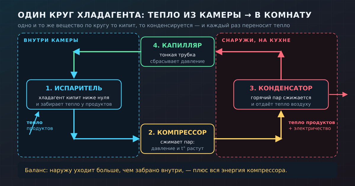 Цикл холодильника: хладагент кипит в испарителе, компрессор сжимает пар, конденсатор отдаёт тепло комнате, капилляр сбрасывает давление