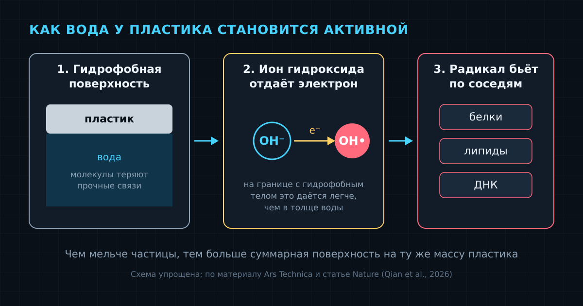Упрощённая схема: гидрофобная поверхность → ион гидроксида теряет электрон → радикал окисляет соседние молекулы