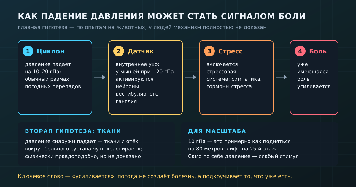 Главная гипотеза: перепад давления улавливает внутреннее ухо, и стрессовая система усиливает уже имеющуюся боль