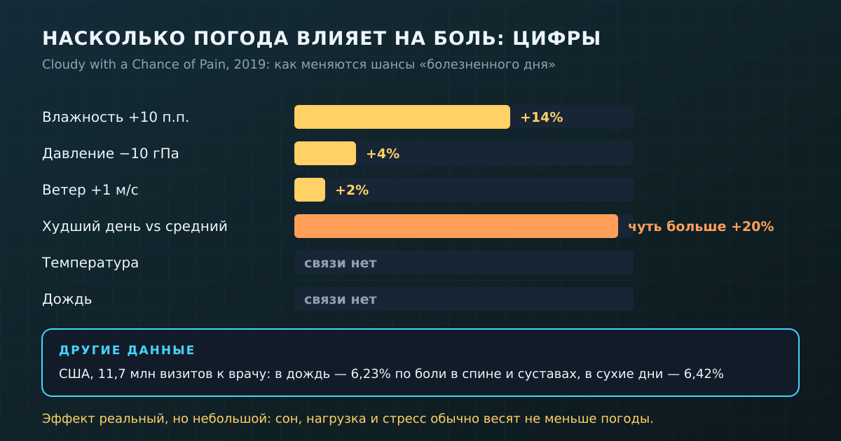Цифры крупнейшего исследования: влажность и давление влияют на боль, но заметно слабее, чем кажется