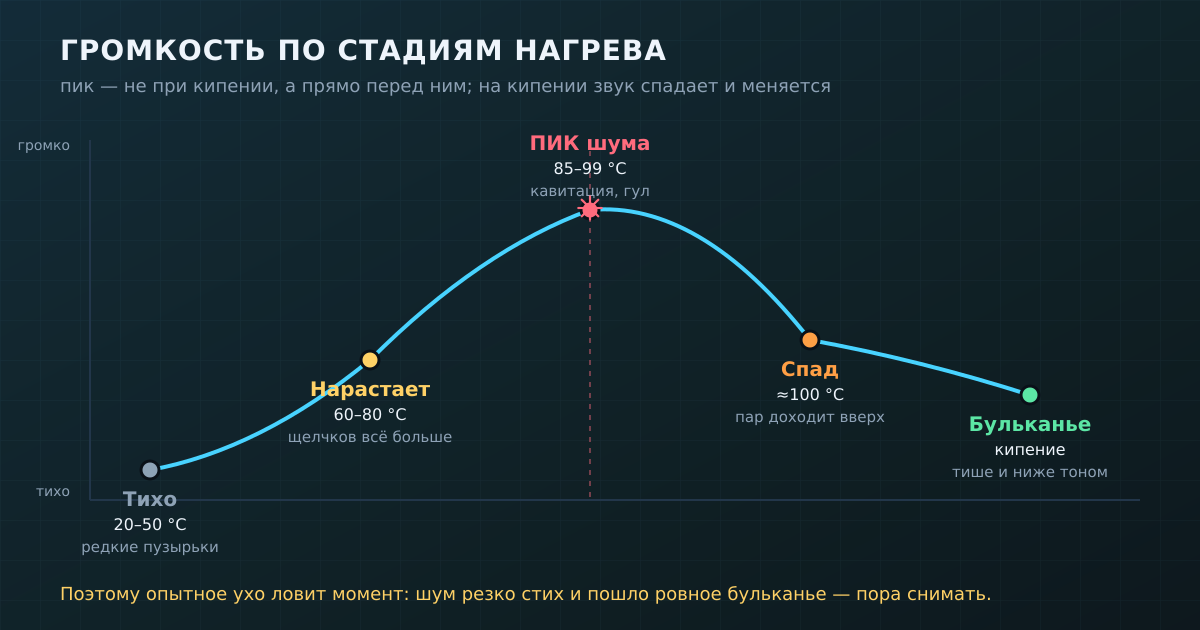 Громкость по стадиям нагрева: тихо → нарастает → пик прямо перед закипанием → спад → ровное бульканье. Пик приходится на 85–99 °C, а не на кипение.