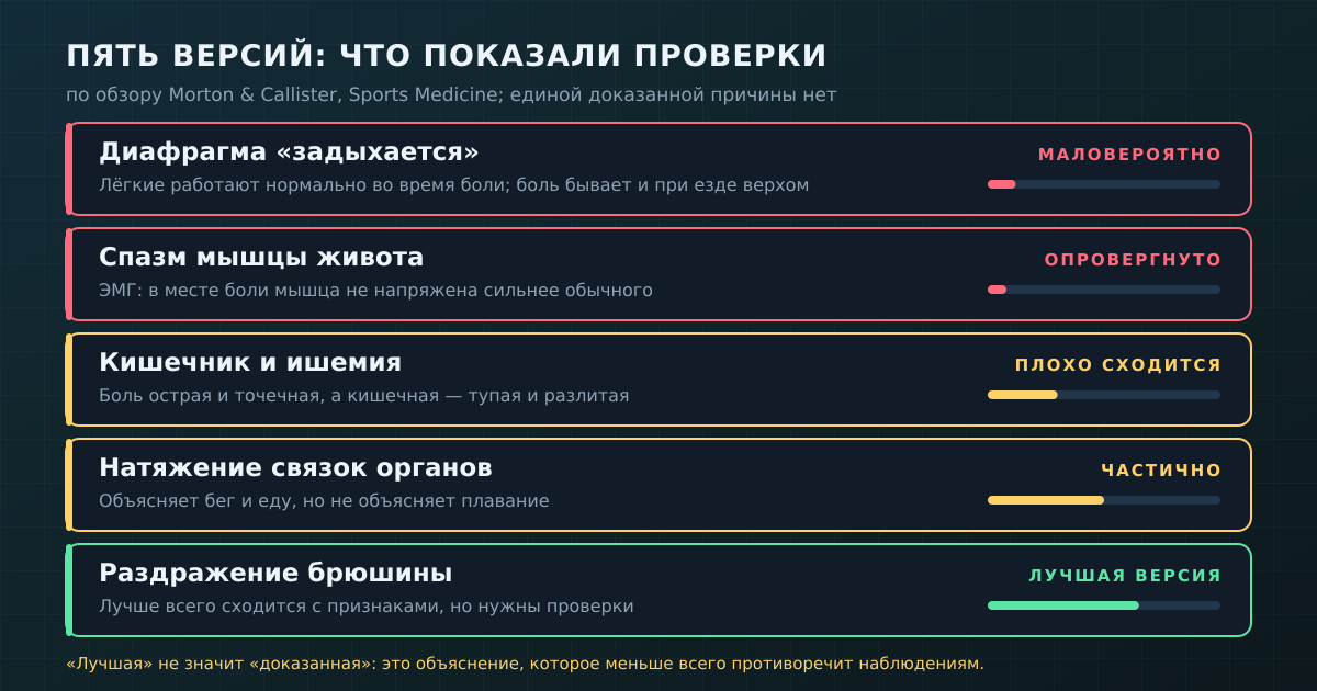 Пять версий происхождения боли в боку и что показали проверки