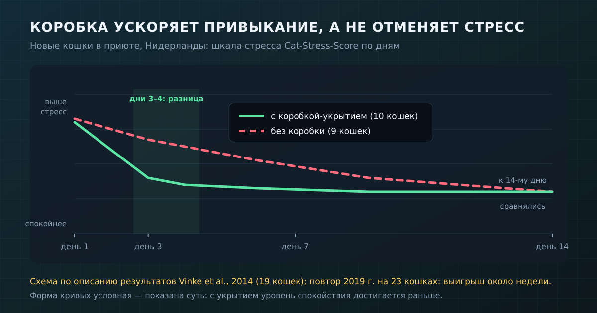 Кошки с укрытием выходят на спокойный уровень за несколько дней, без укрытия — к концу второй недели