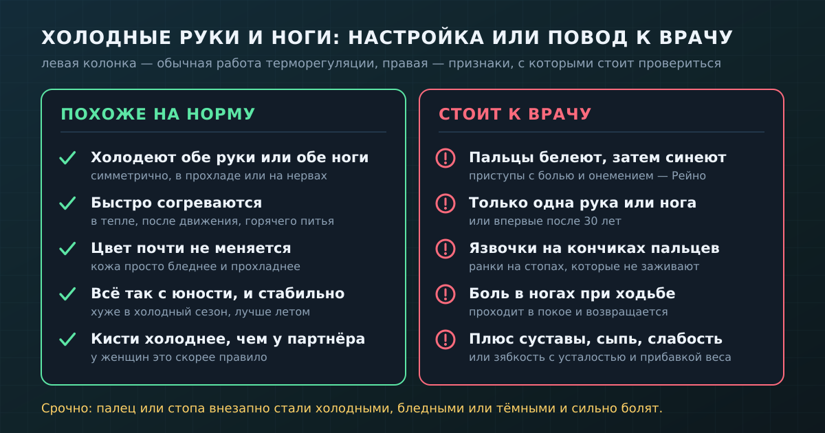 Обычная зябкость и признаки, с которыми стоит показаться врачу