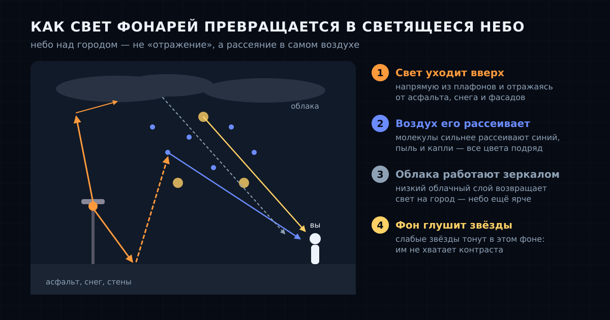 Как свет фонарей превращается в светящееся небо: свет уходит вверх, воздух его рассеивает, облака возвращают обратно, а слабые звёзды тонут в фоне.
