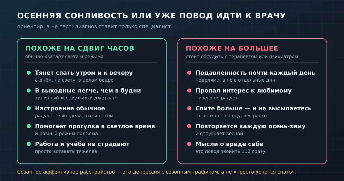 Как отличить обычную осеннюю сонливость от состояния, которое стоит обсудить с врачом