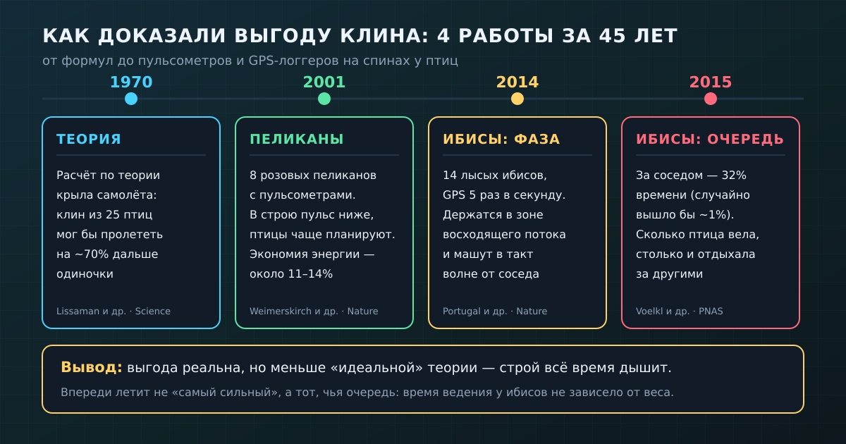 Как выгоду клина доказывали от формул 1970 года до GPS-логгеров 2010-х: экономия реальна, а ведущие меняются