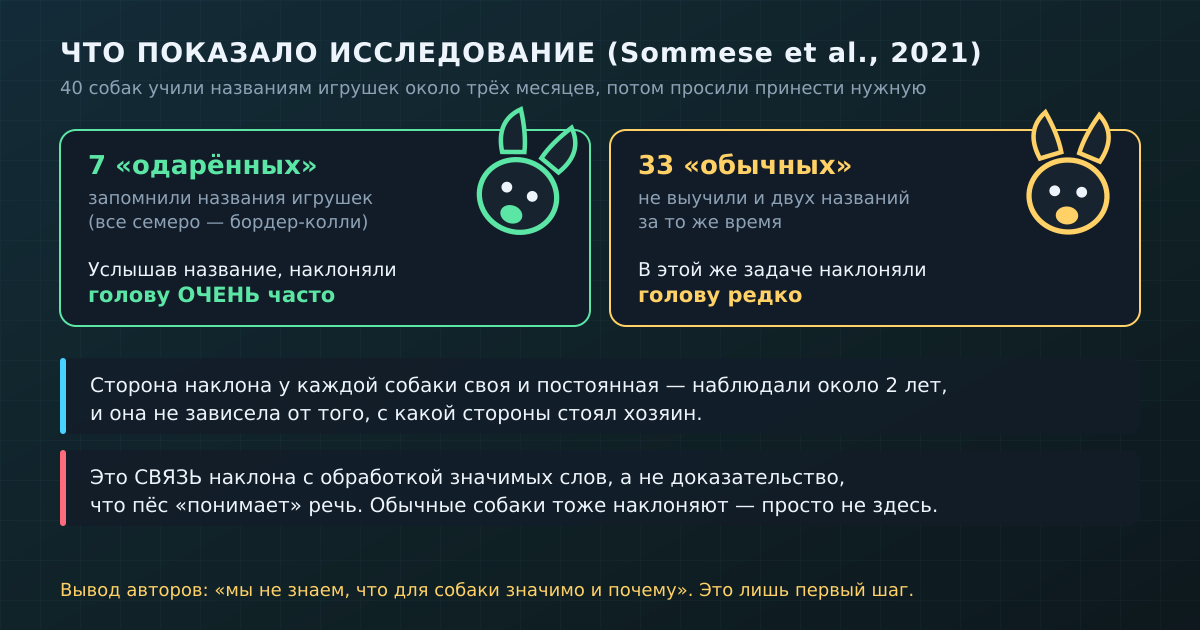 Что показало исследование Sommese et al. (2021): связь наклона со значимыми словами — это ещё не доказательство «понимания» речи.