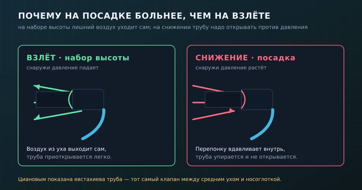 Взлёт и снижение несимметричны: на наборе высоты лишний воздух выходит сам, на снижении трубу надо открывать против растущего давления — поэтому и больнее.