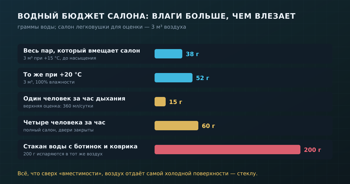 Водный бюджет салона: сколько пара вмещает воздух в машине и сколько приносят дыхание и мокрые коврики