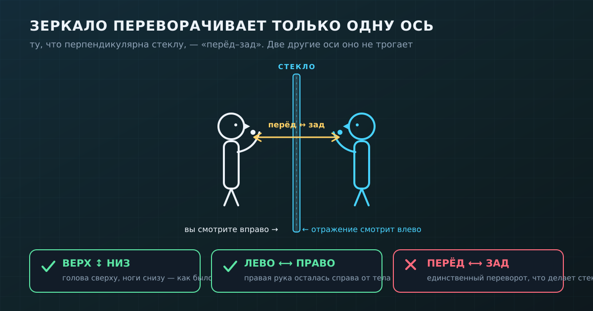 Зеркало переворачивает только ось «перёд-зад» — ту, что перпендикулярна стеклу. Верх-низ и лево-право остаются на месте.