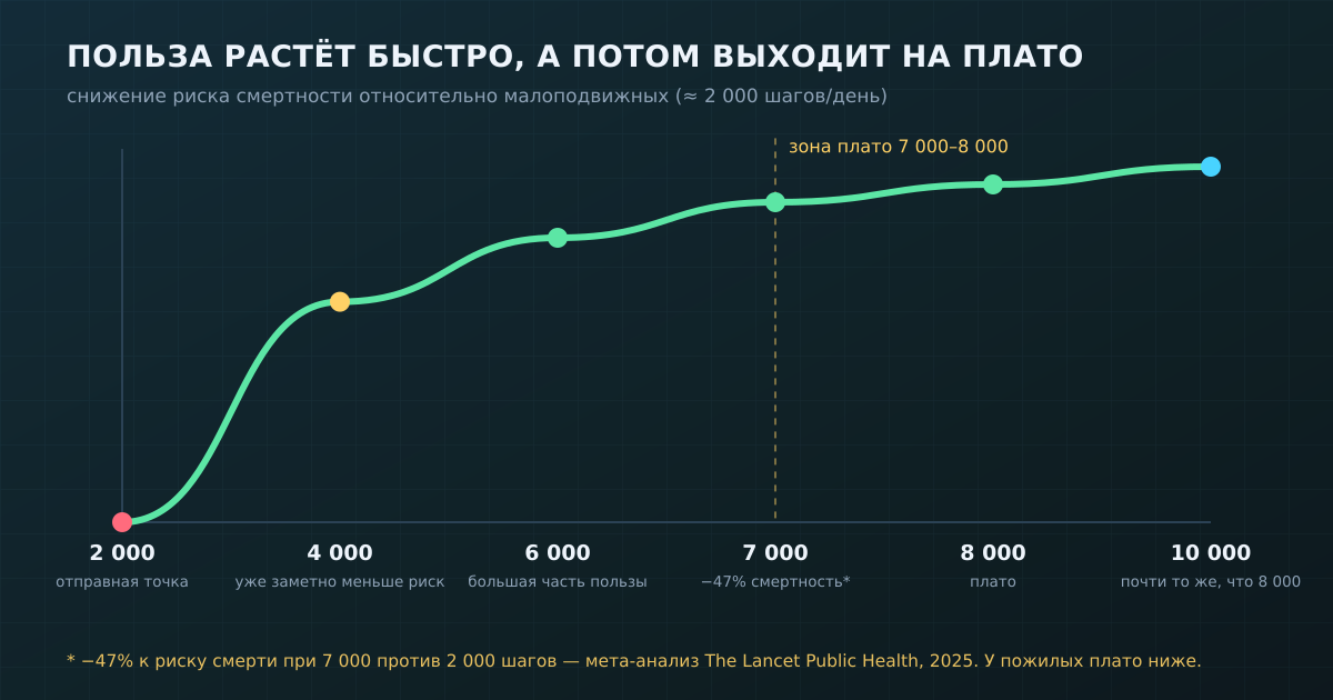 Как снижается риск смертности с ростом числа шагов: круто в начале и почти плоско после 7000-8000. По данным мета-анализов The Lancet Public Health, 2022 и 2025.