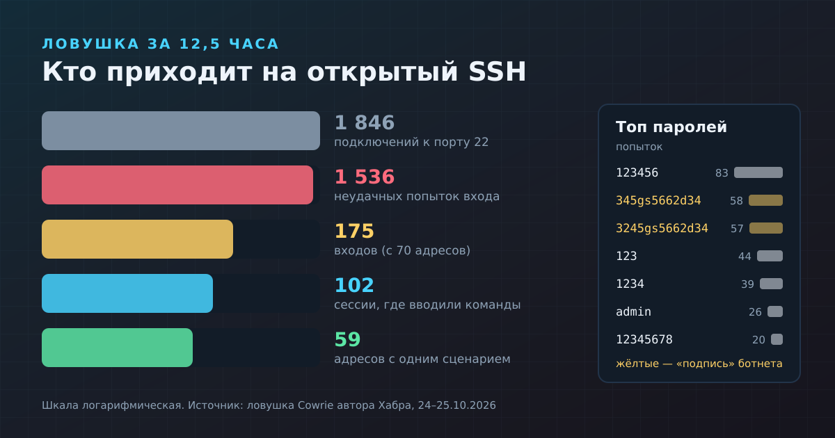 Воронка ловушки: из 1 846 подключений почти вся «работа» внутри пришлась на один ботнет. Справа — самые частые пароли; две странные строки — подпись этого ботнета