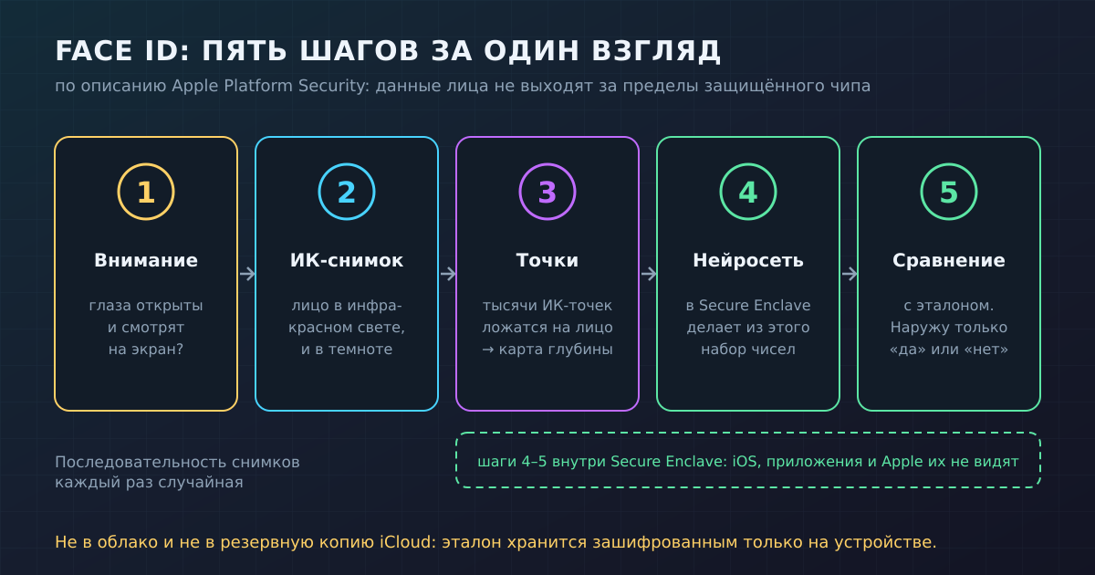 Пять шагов Face ID: проверка внимания, ИК-снимок, карта глубины по точкам, нейросеть в Secure Enclave и сравнение с эталоном